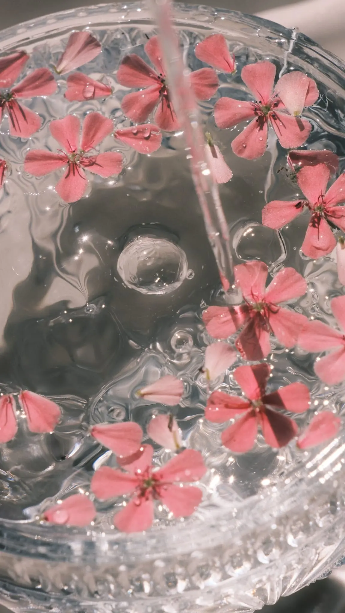 Fleurs roses flottant dans une coupe d'eau claire, prête pour un bain de pieds.
